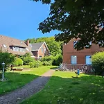 Sanddorn, Whg 4 *